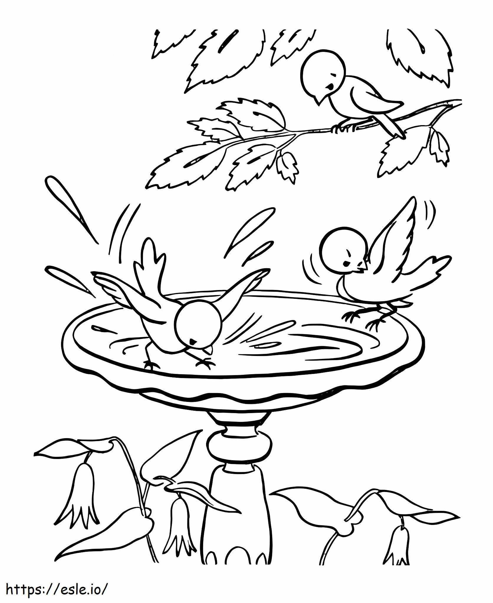 Bird And Water In Spring coloring page