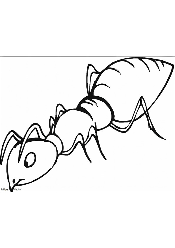 Amazing Ant coloring page