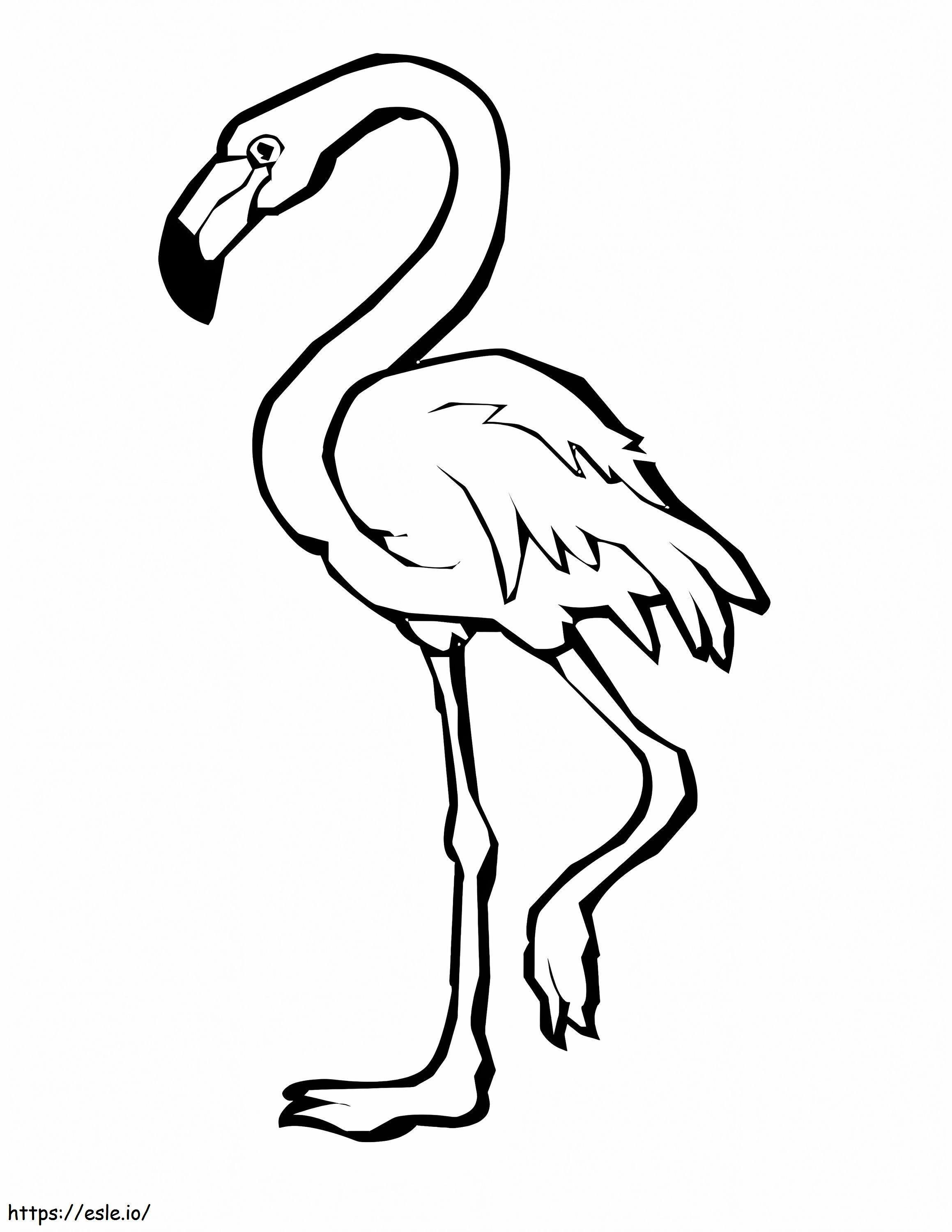 Flamenco Regular para colorear - dibujo gratis para imprimir