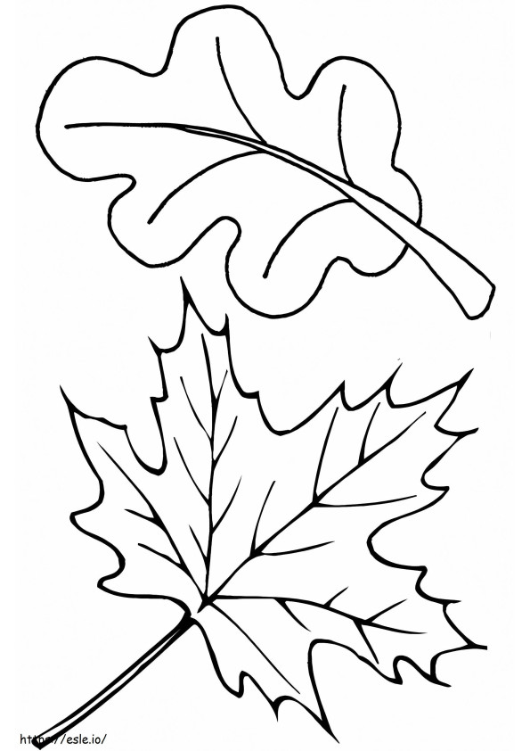 Two Autumn Leaves coloring page