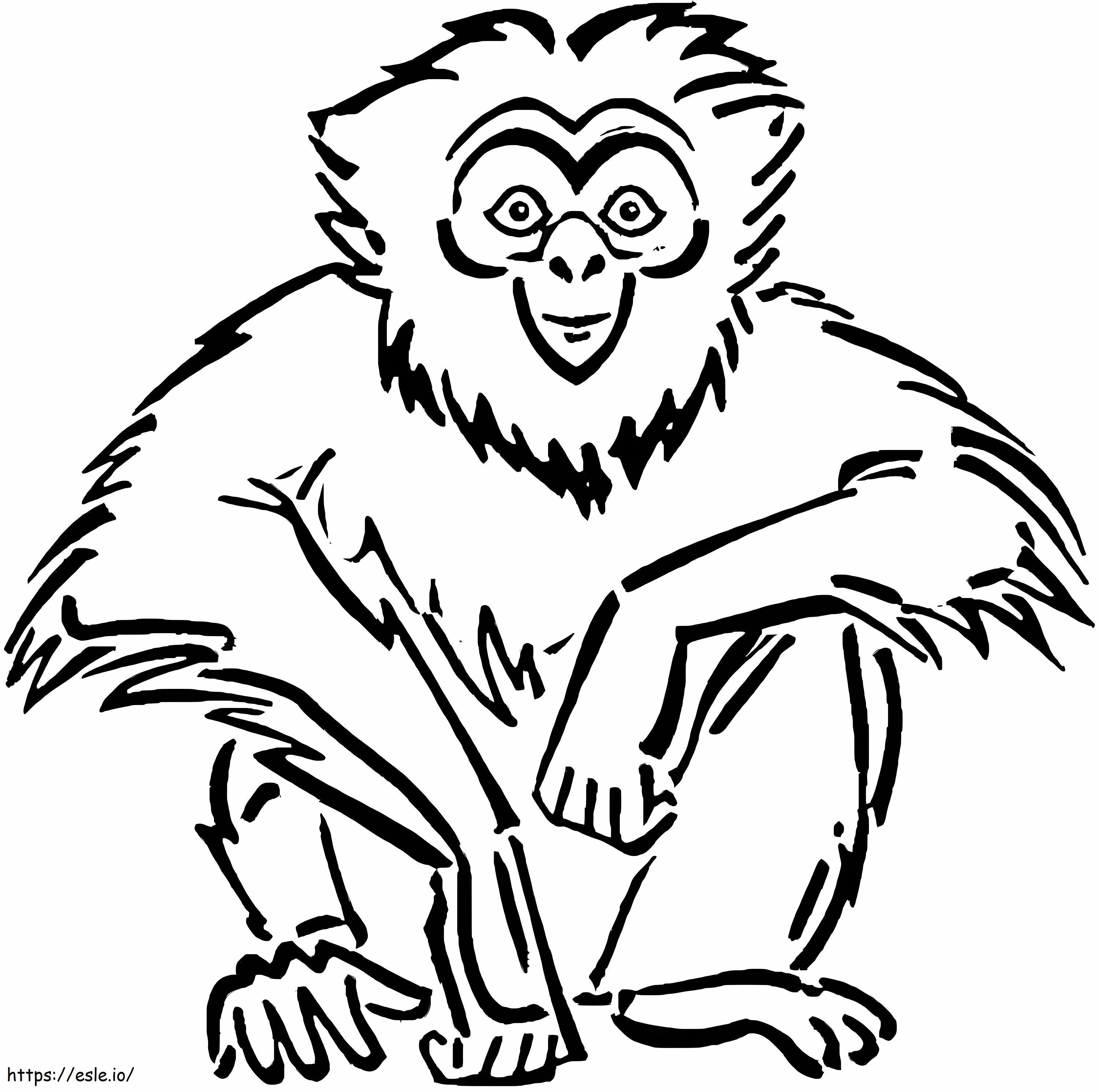 Desenhando Macaco para colorir