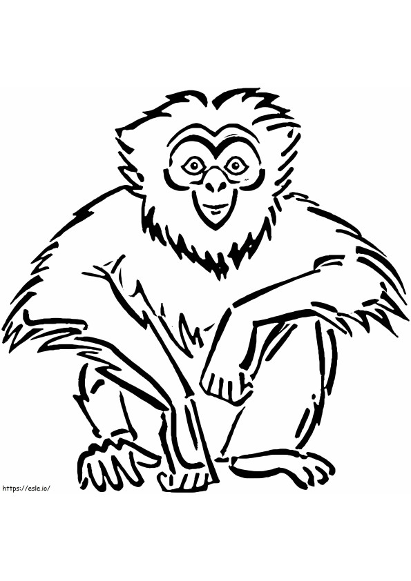 Disegnare la scimmia da colorare