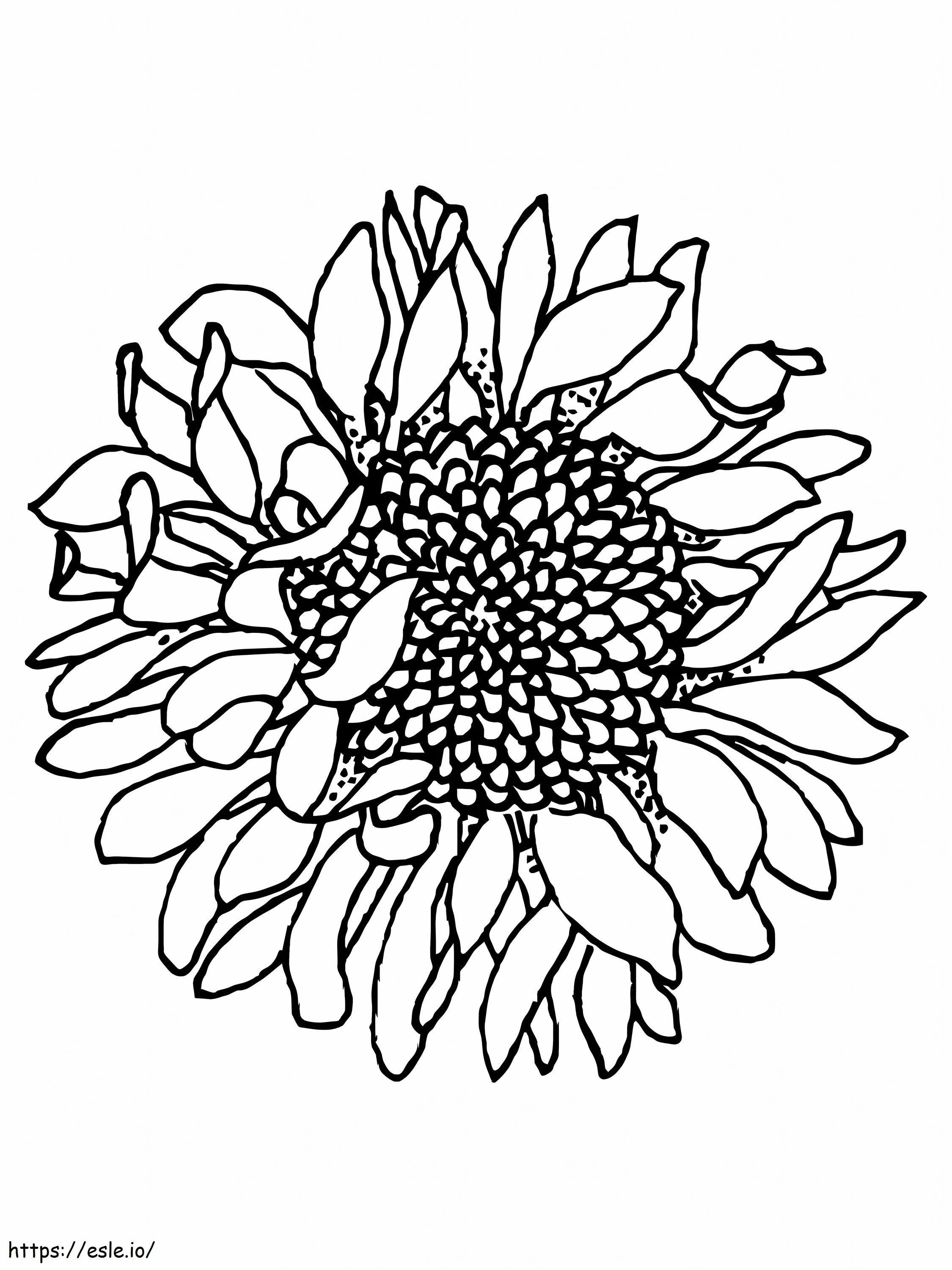 Withered Sunflowers coloring page