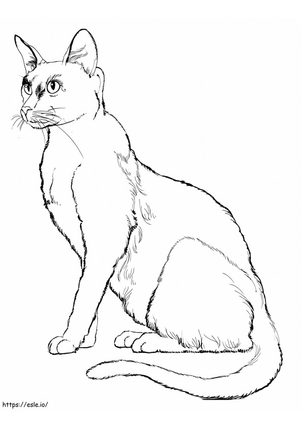 Realistic Cat coloring page