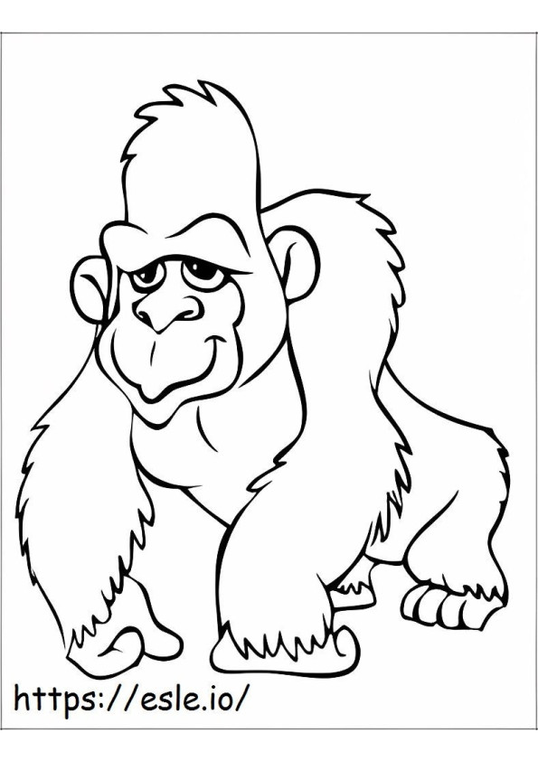Orango carino