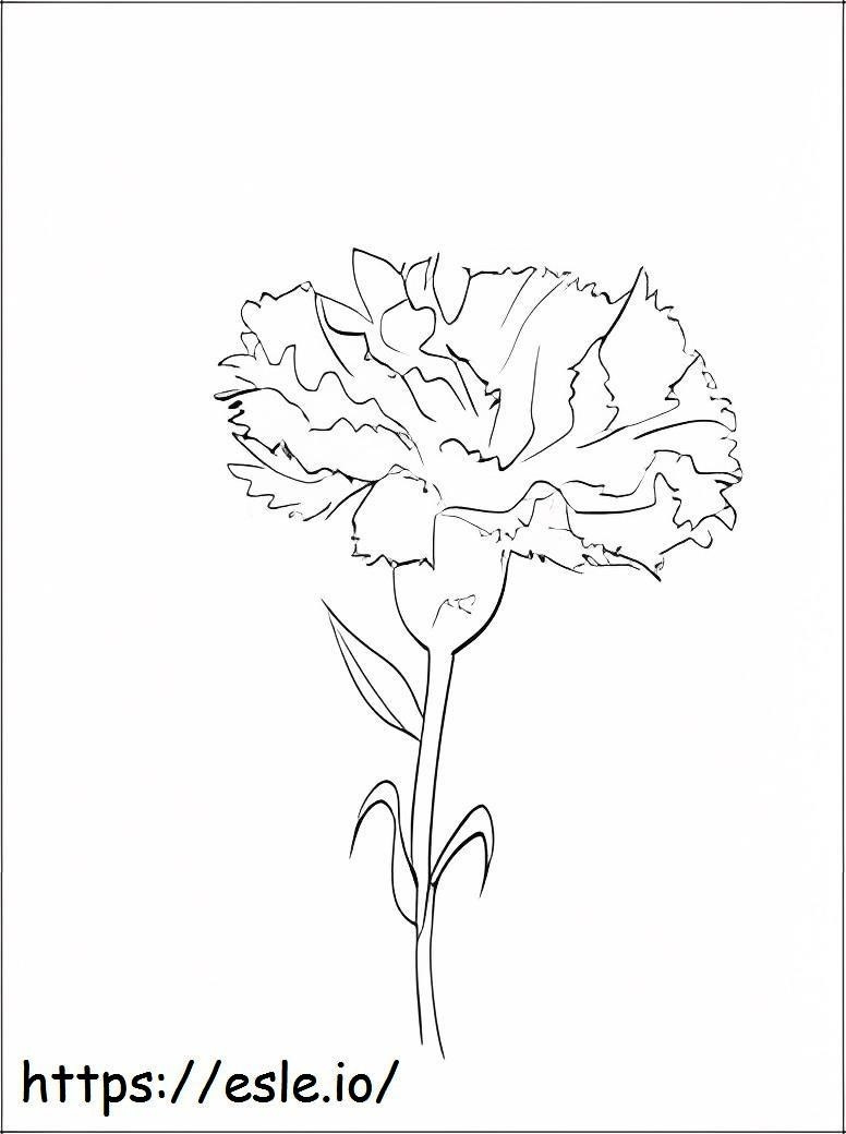 Beautiful Carnation coloring page