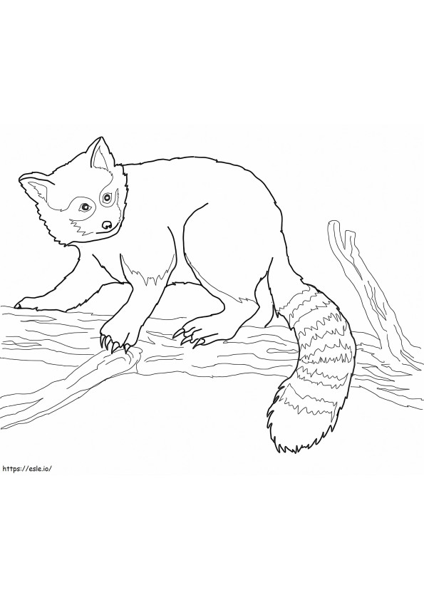 Red Panda On Tree coloring page