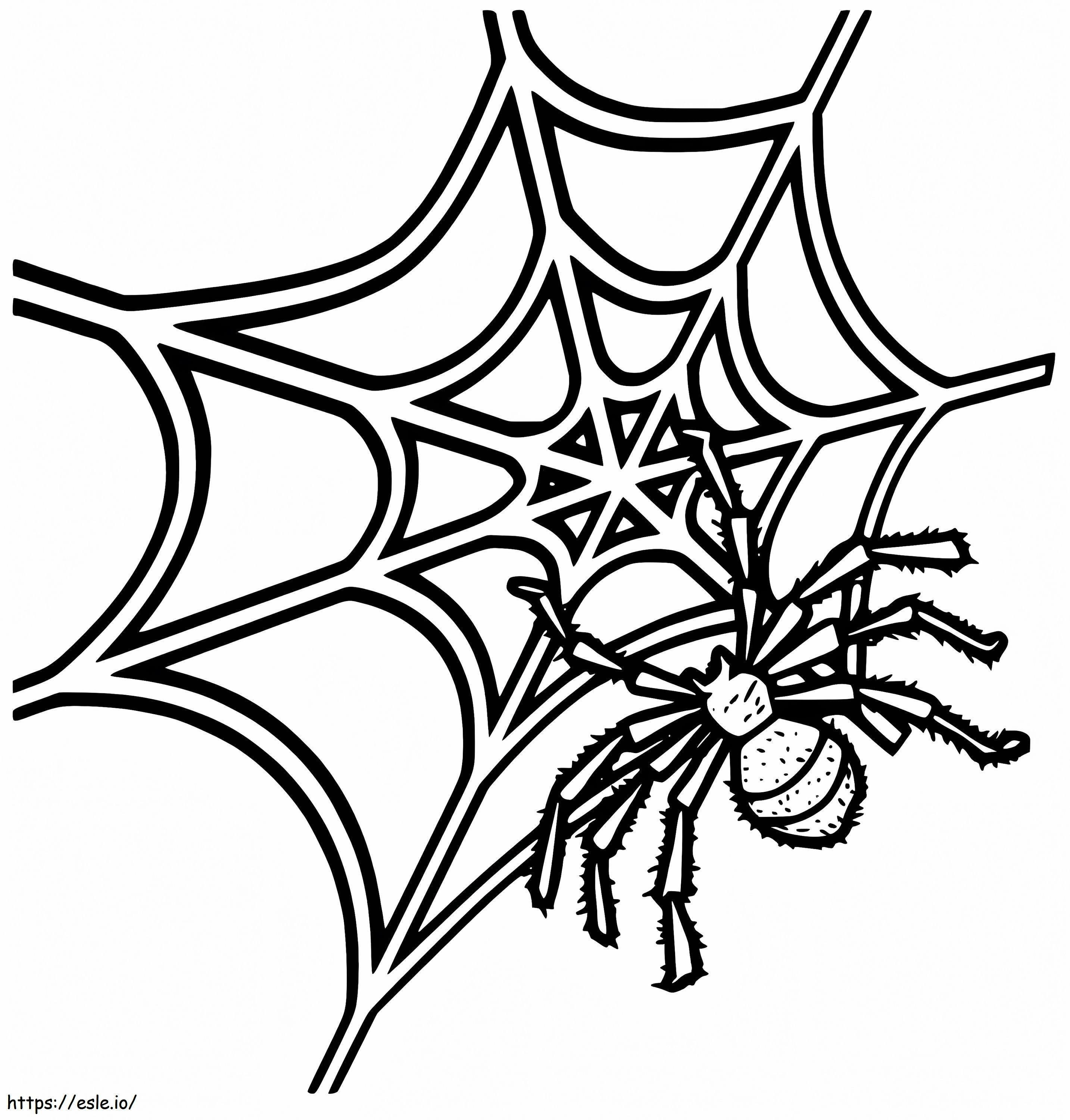 蜘蛛の巣上の蜘蛛 4 ぬりえ - 塗り絵