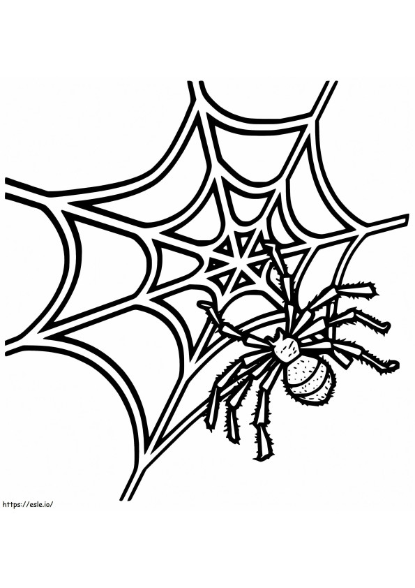 Spider On Spider Web 4 coloring page