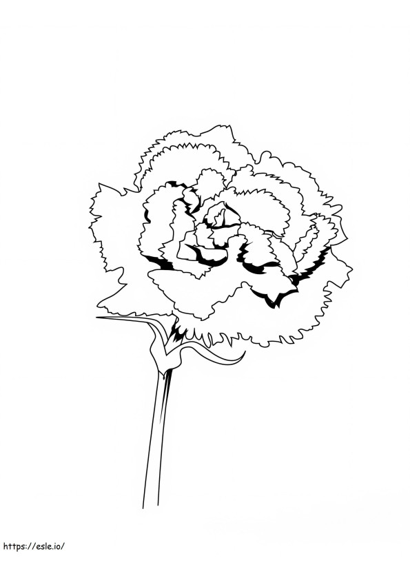 Cute Carnation coloring page