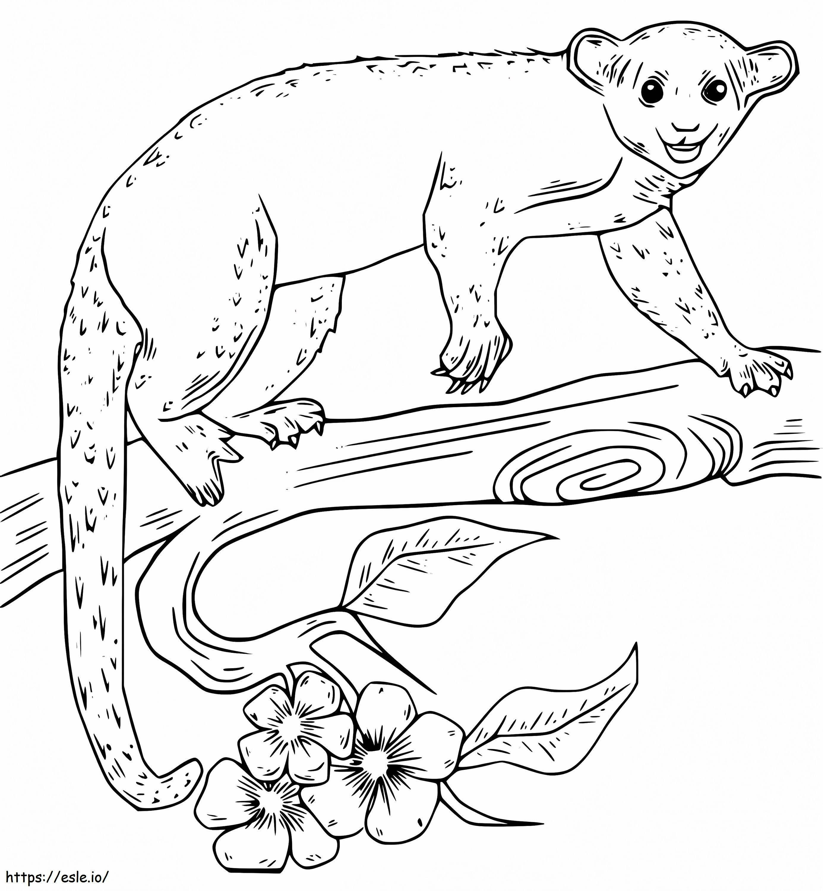 Coloriage Kinkajou sur une branche à imprimer dessin