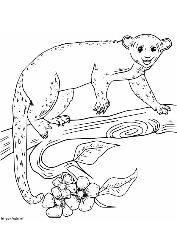 Kinkajou On A Branch coloring page