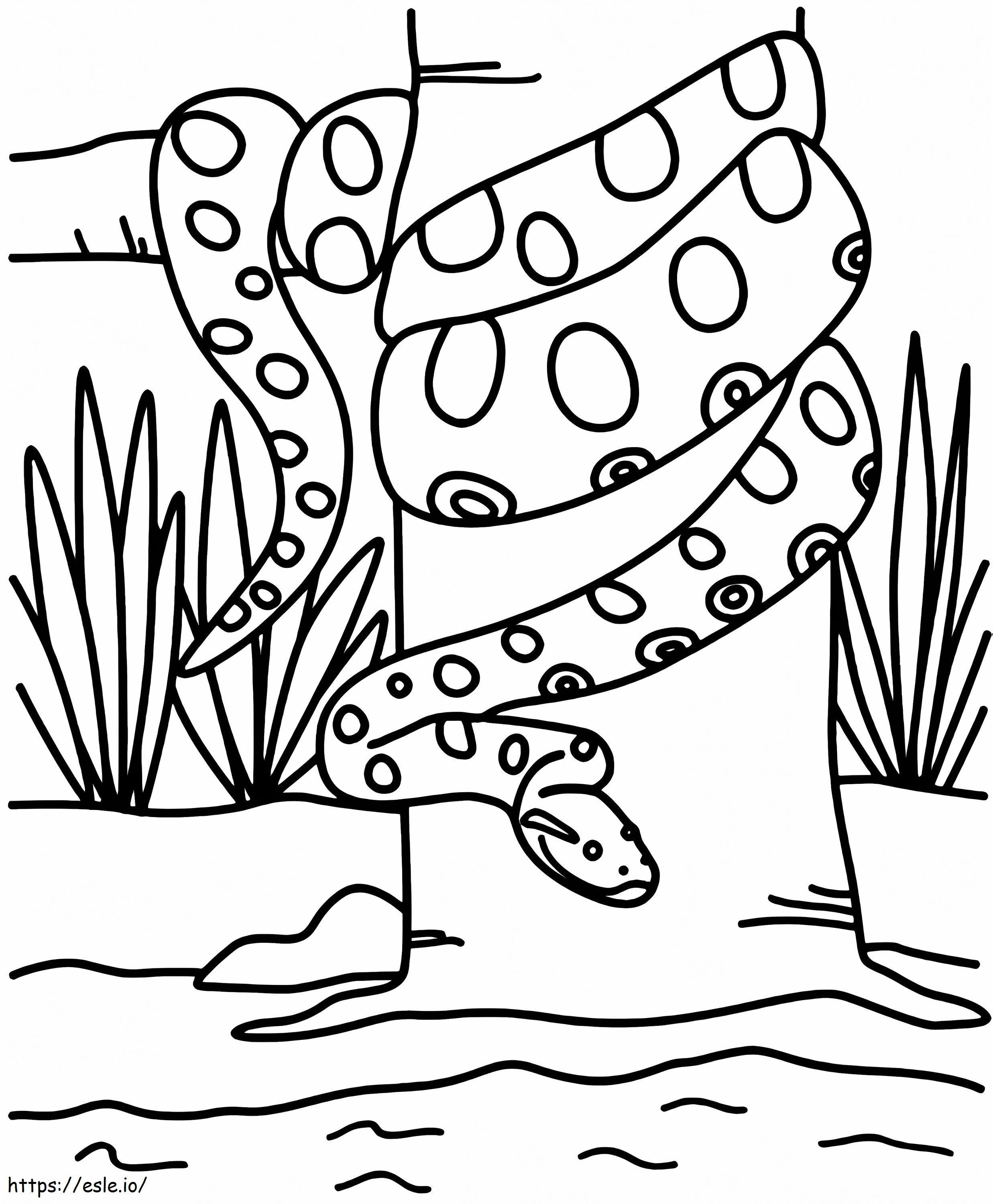 Anaconda Imprimible para colorear