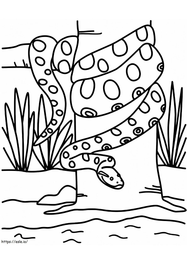 Anaconda para impressão para colorir