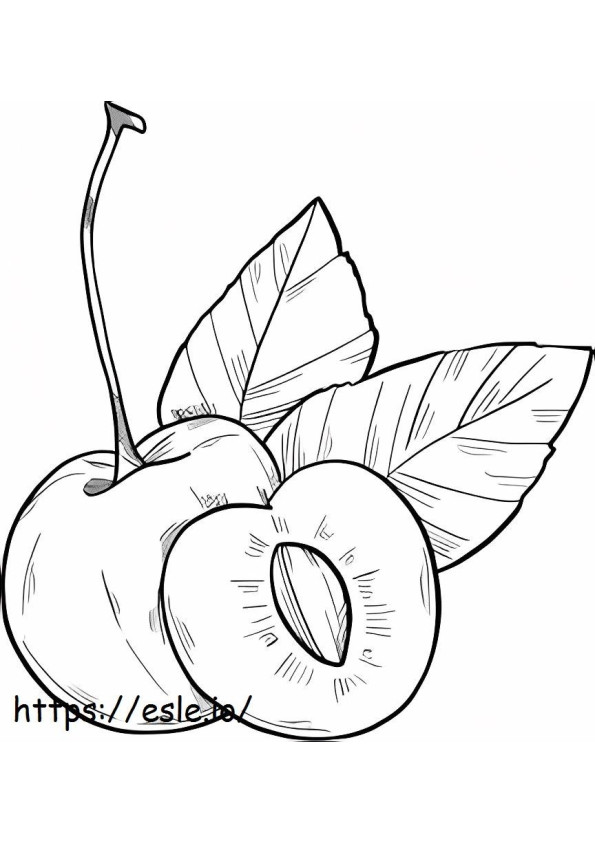 Cherry Drawing coloring page