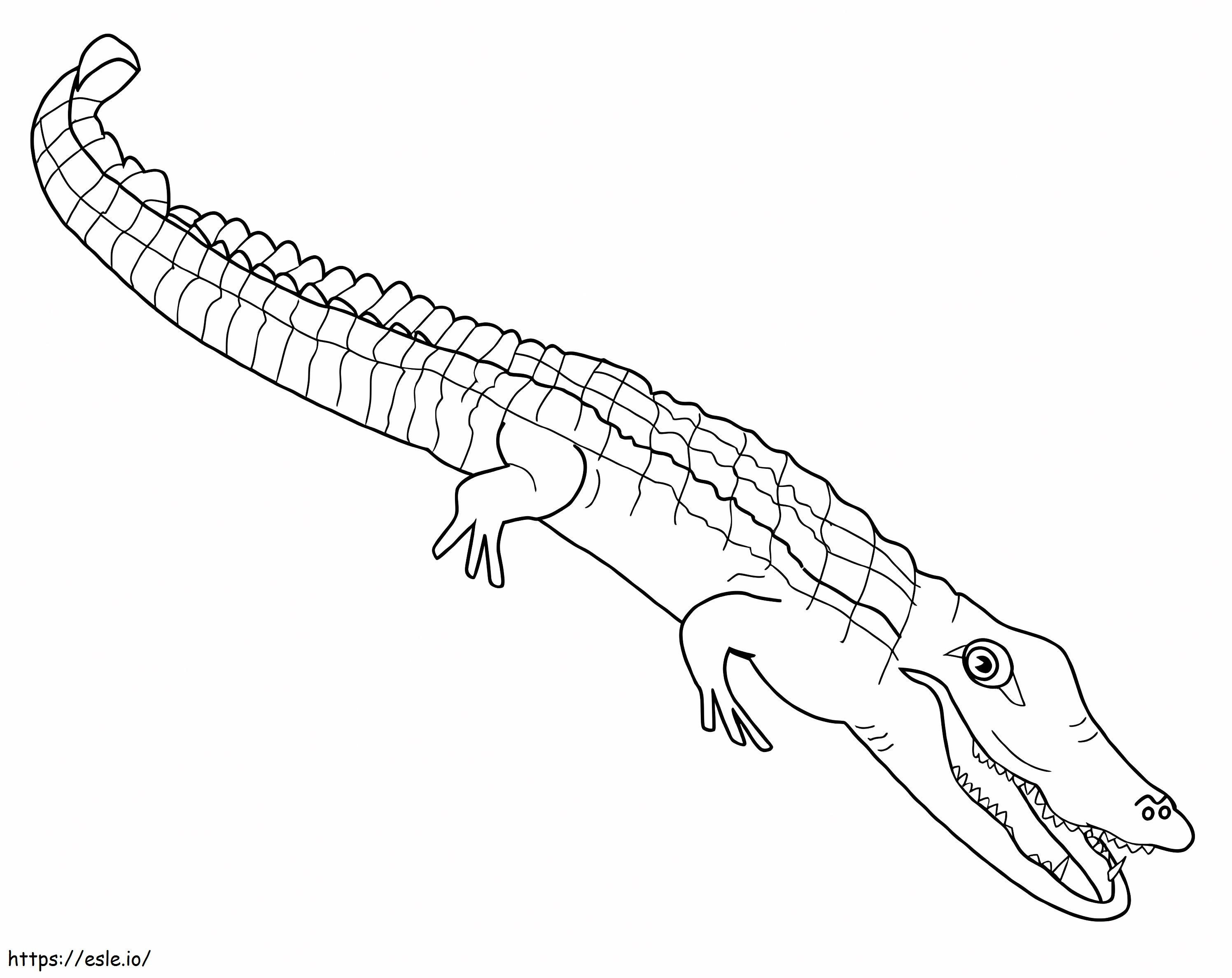 Coloriage Alligator 3 à imprimer dessin