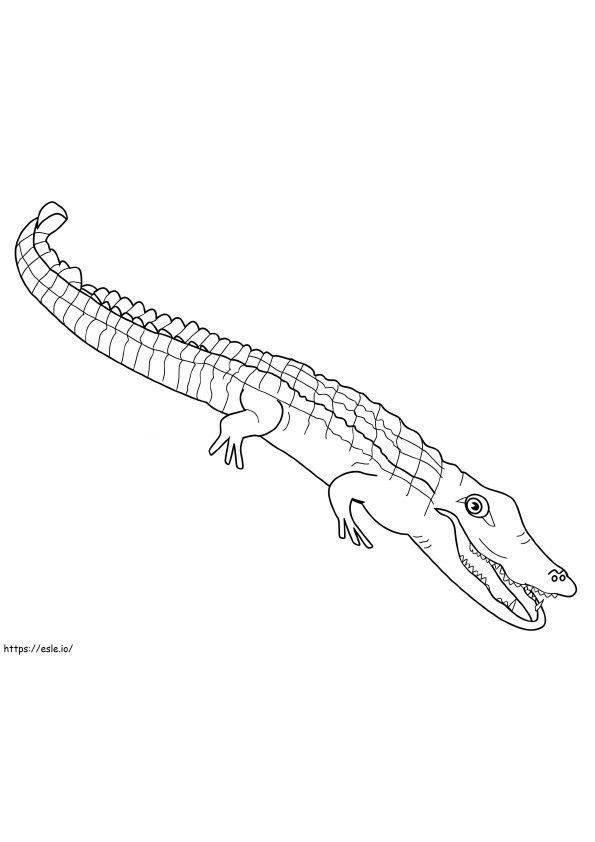Alligator 3 kleurplaat