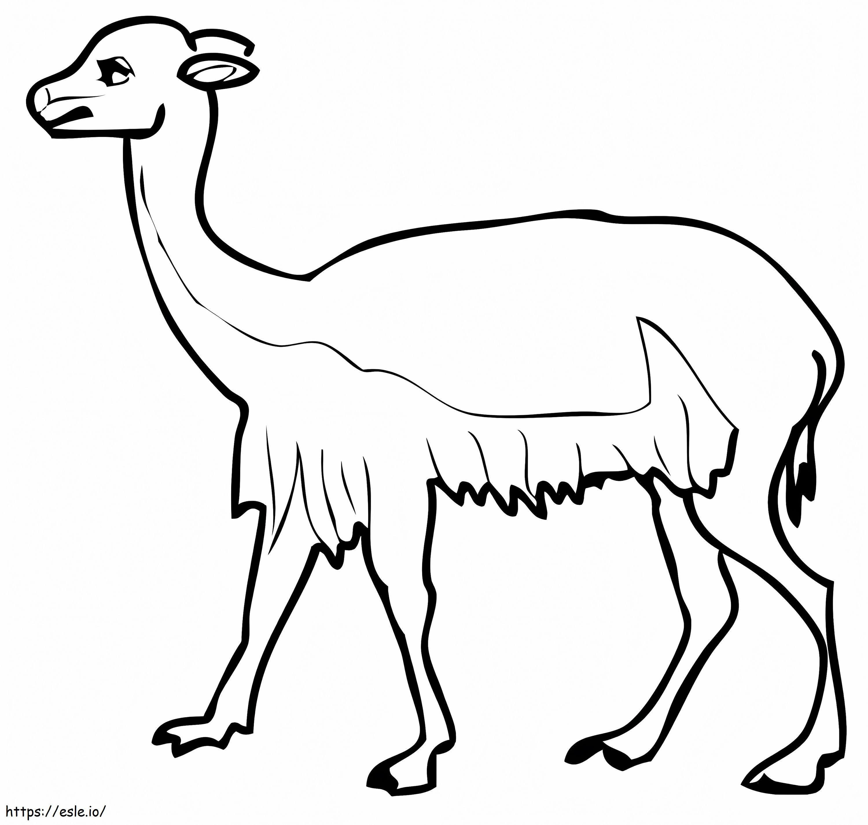 Normal Vicuna coloring page
