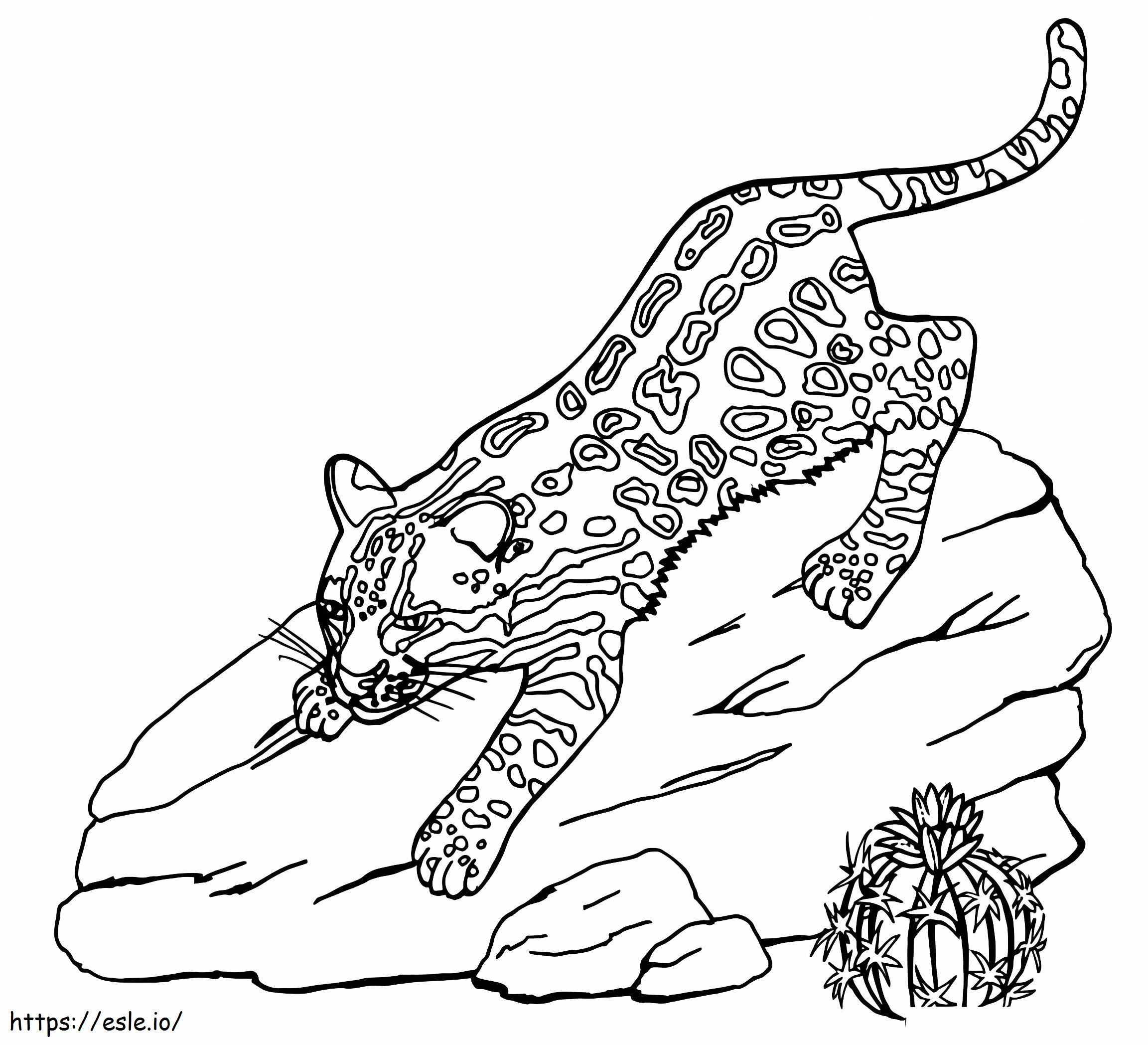 Gattopardo su una roccia da colorare