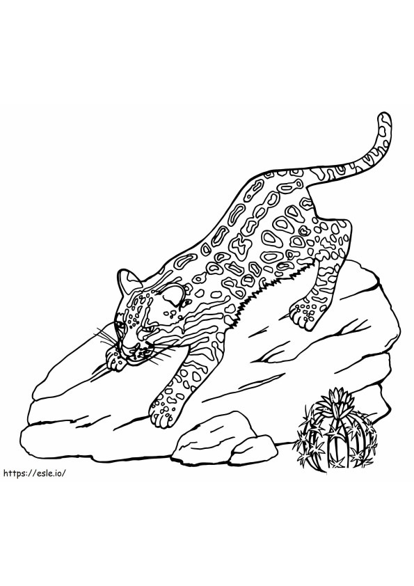 Coloriage Ocelot sur un rocher à imprimer dessin
