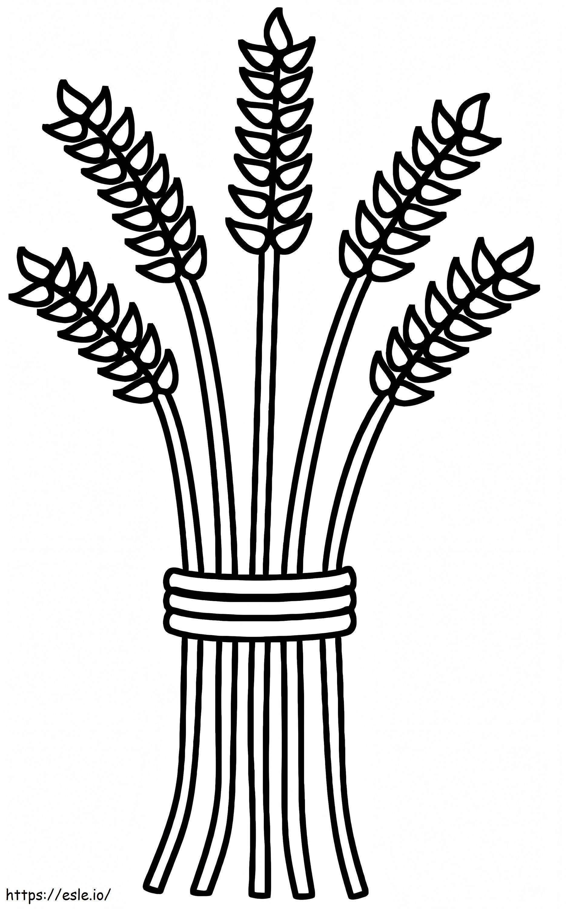Five Wheats coloring page