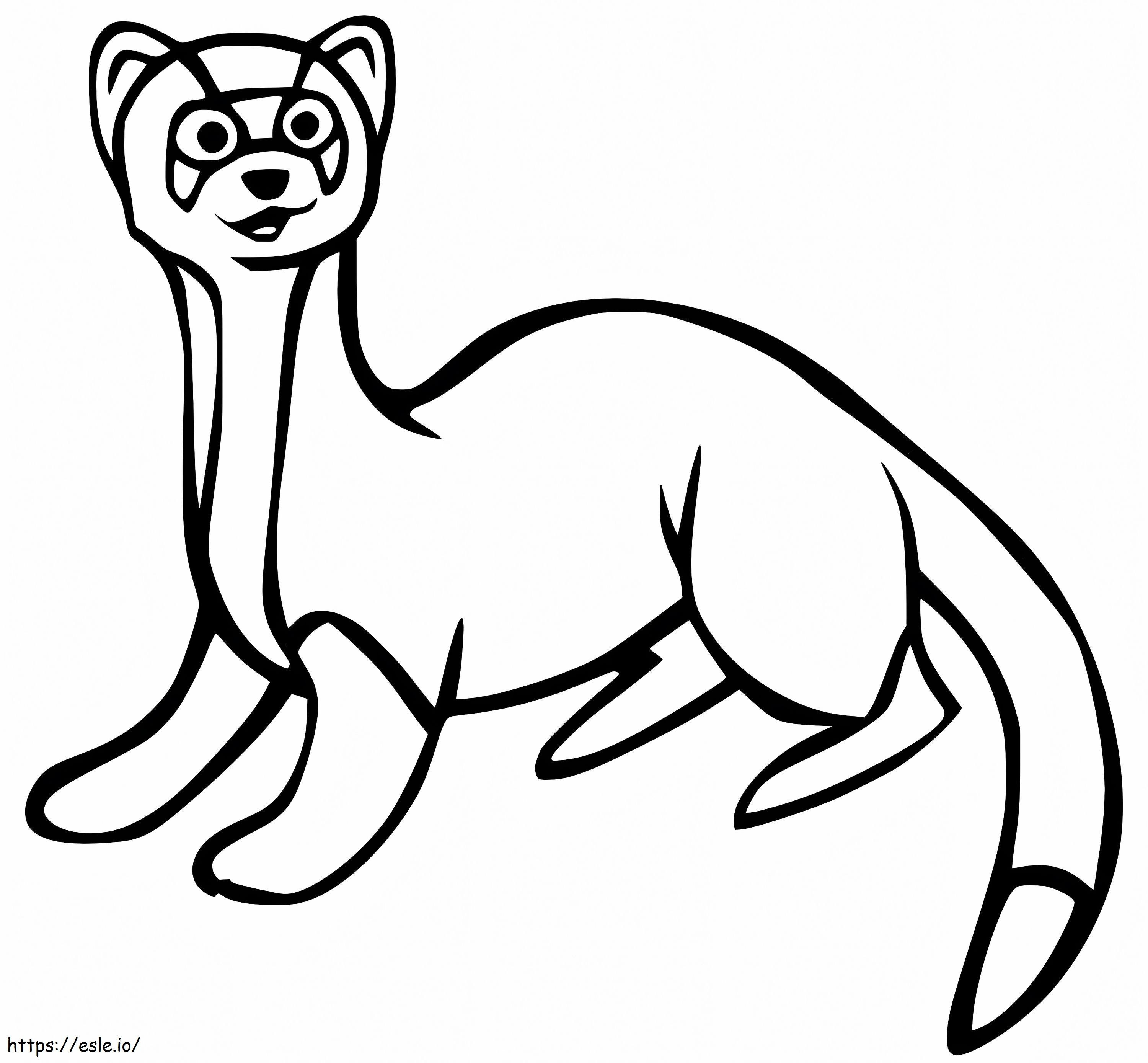 Ferret 6 coloring page