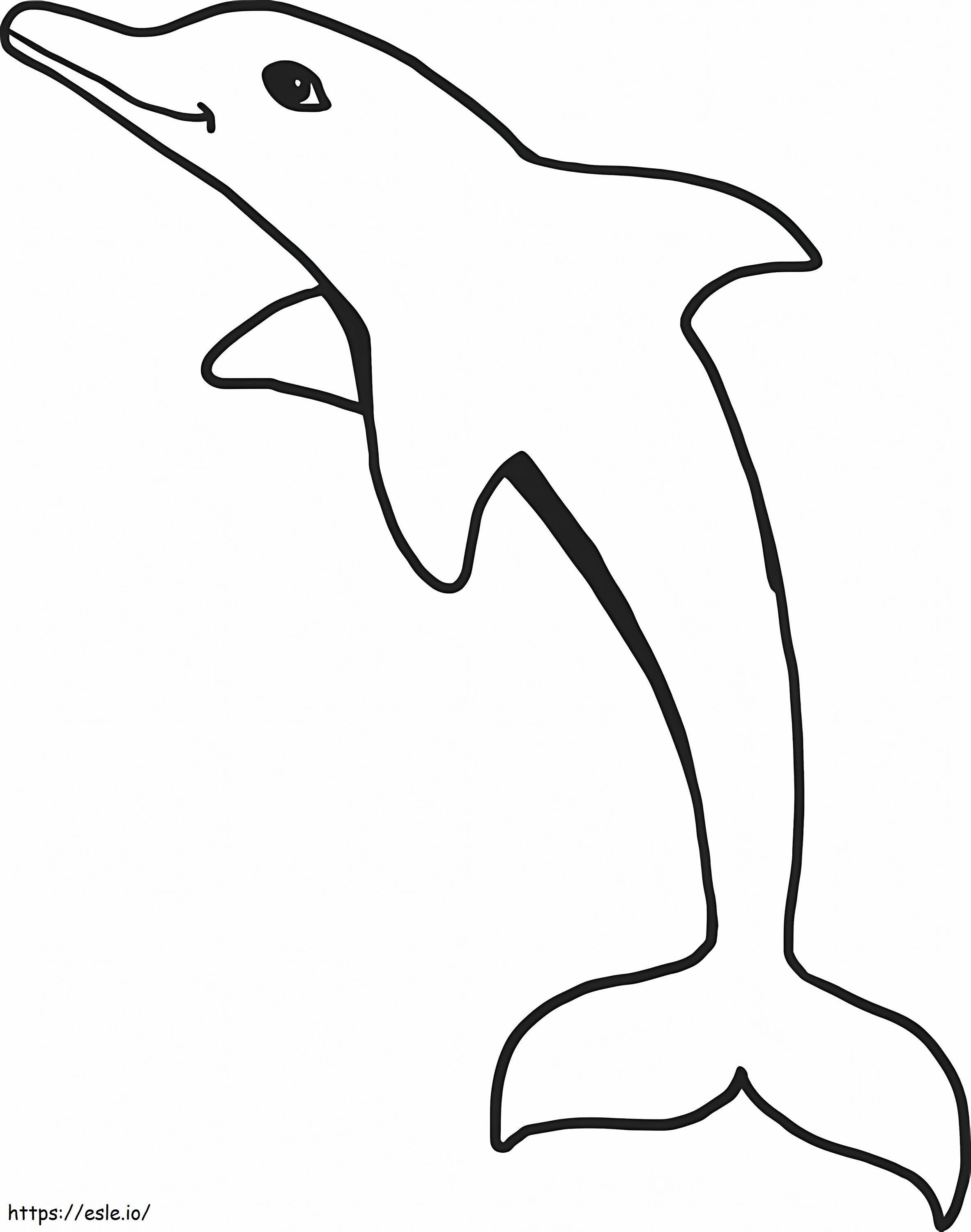 Iso delfiini värityskuva