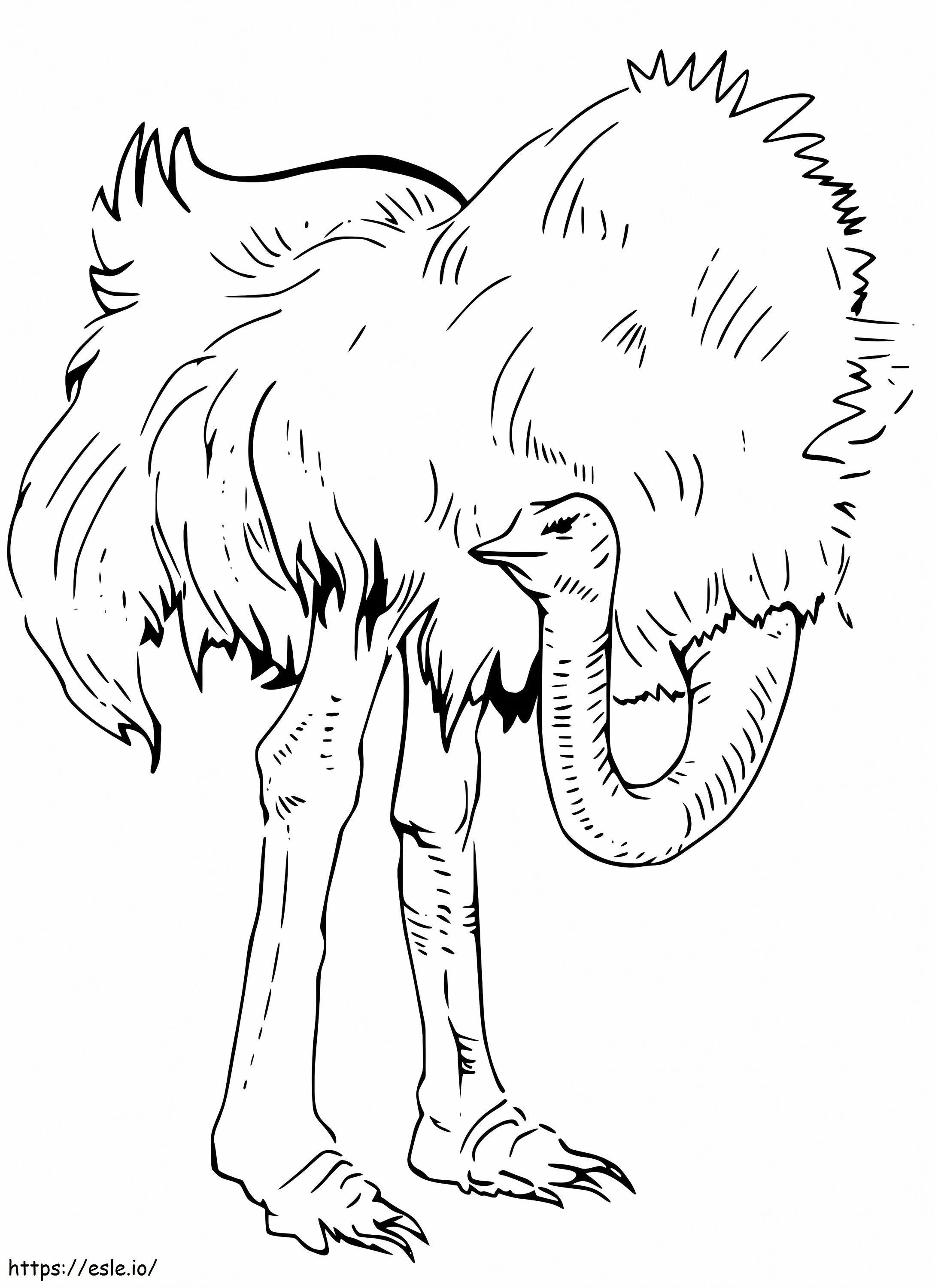Big Emu coloring page