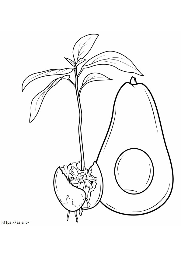 1559787942 Avocado And Sprout A4 coloring page