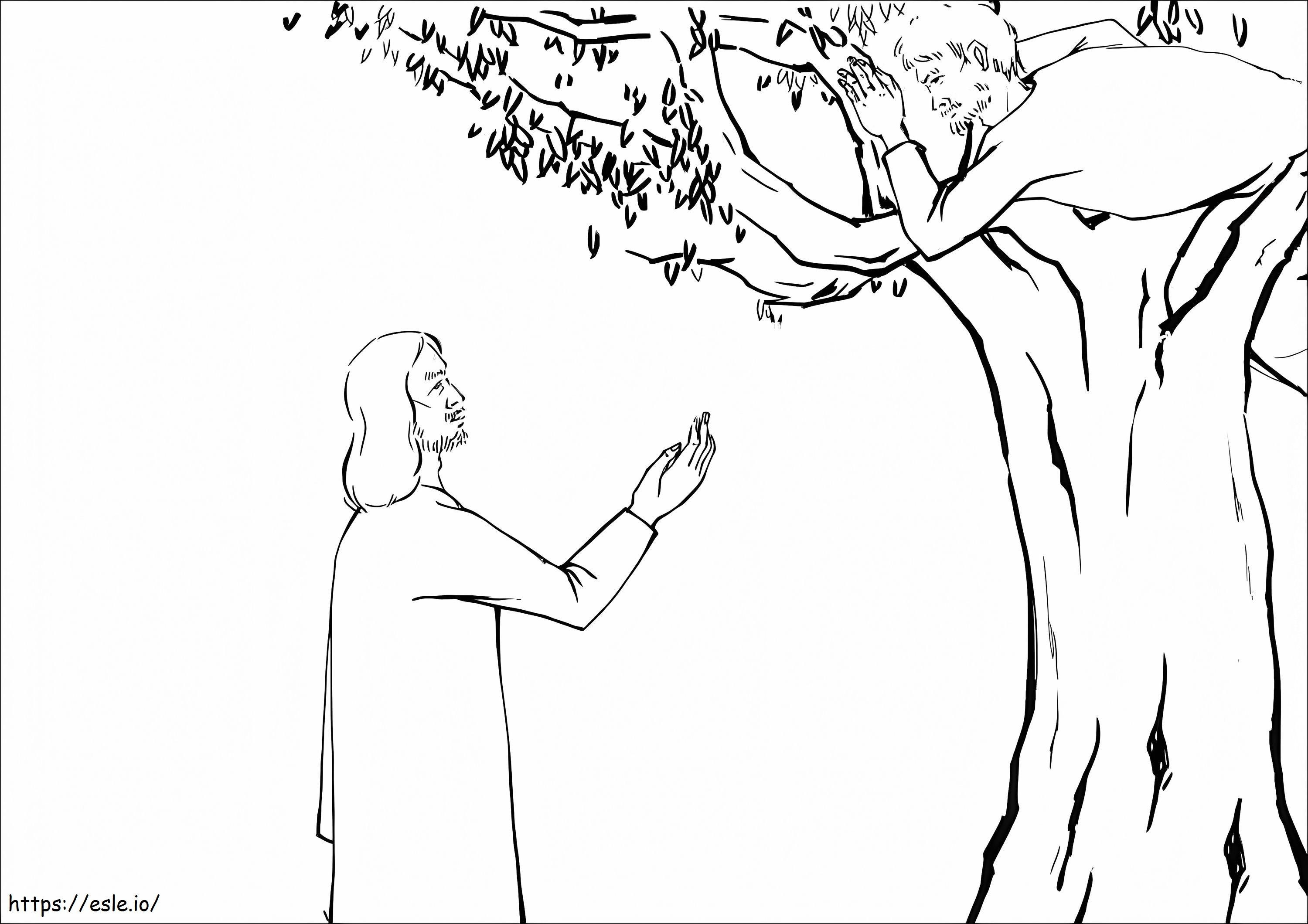 Jesus na árvore e Zaqueu engraçado para colorir