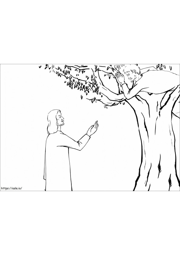 Coloriage Jésus sur l'arbre et Zachée drôle à imprimer dessin