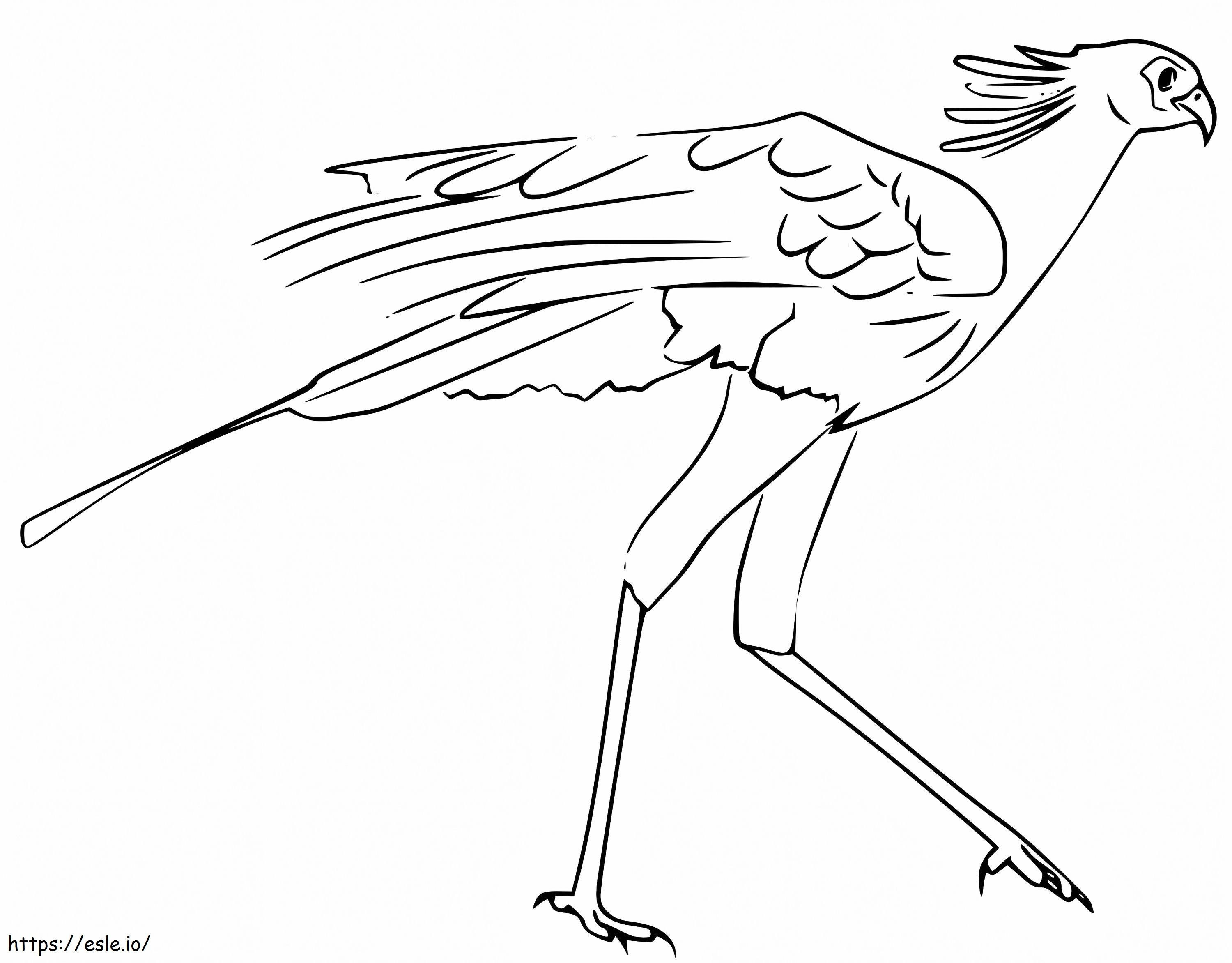 Coloriage Oiseau secrétaire gratuit à imprimer dessin
