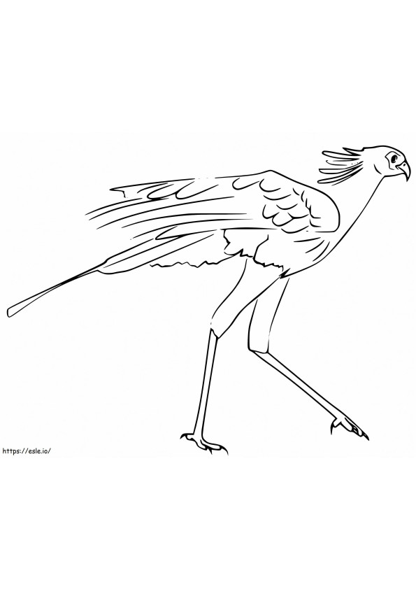 Coloriage Oiseau secrétaire gratuit à imprimer dessin