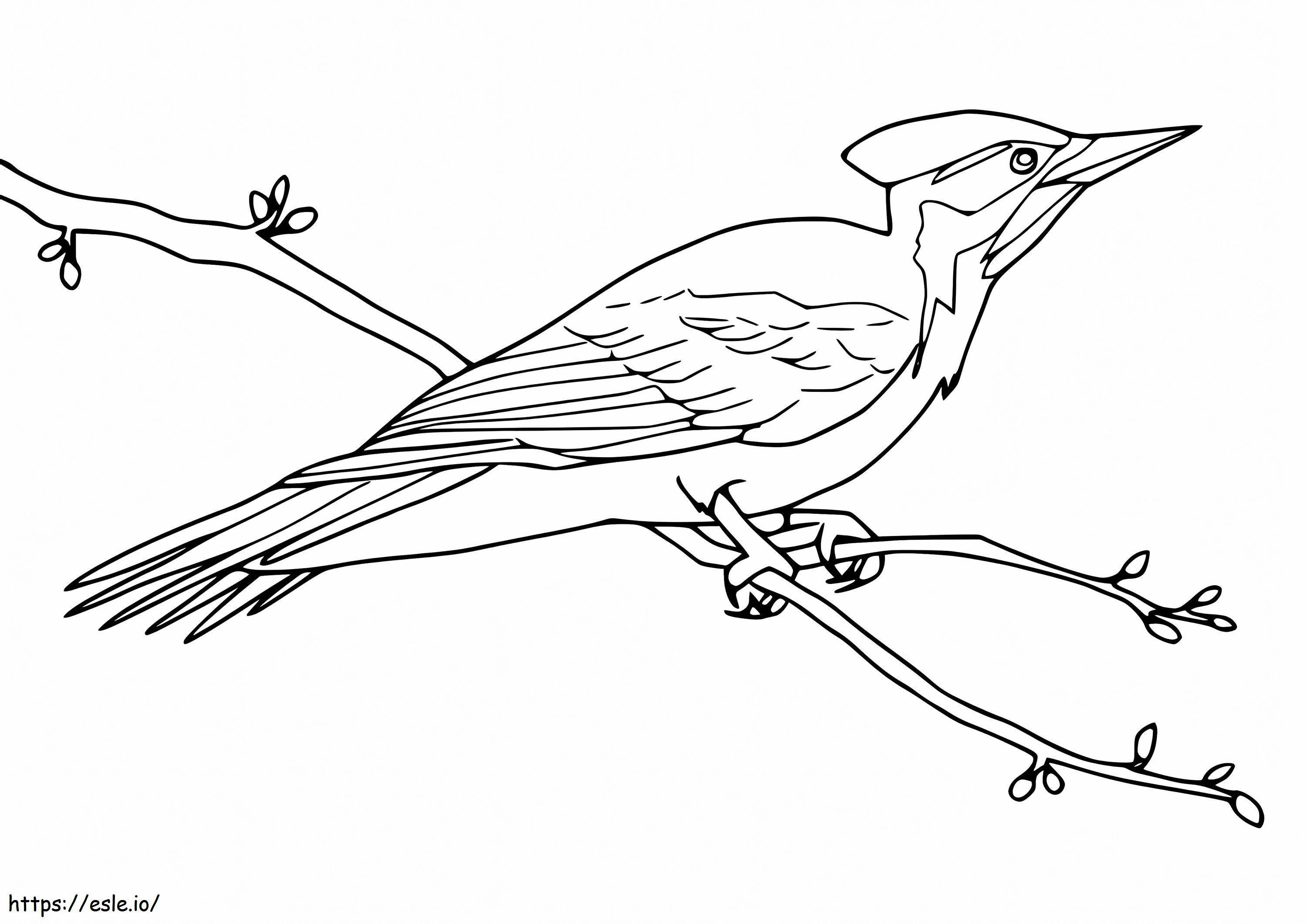 Woodpecker On A Branch Coloring Page
