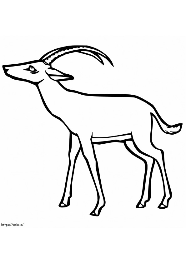 Gazelle 2 coloring page