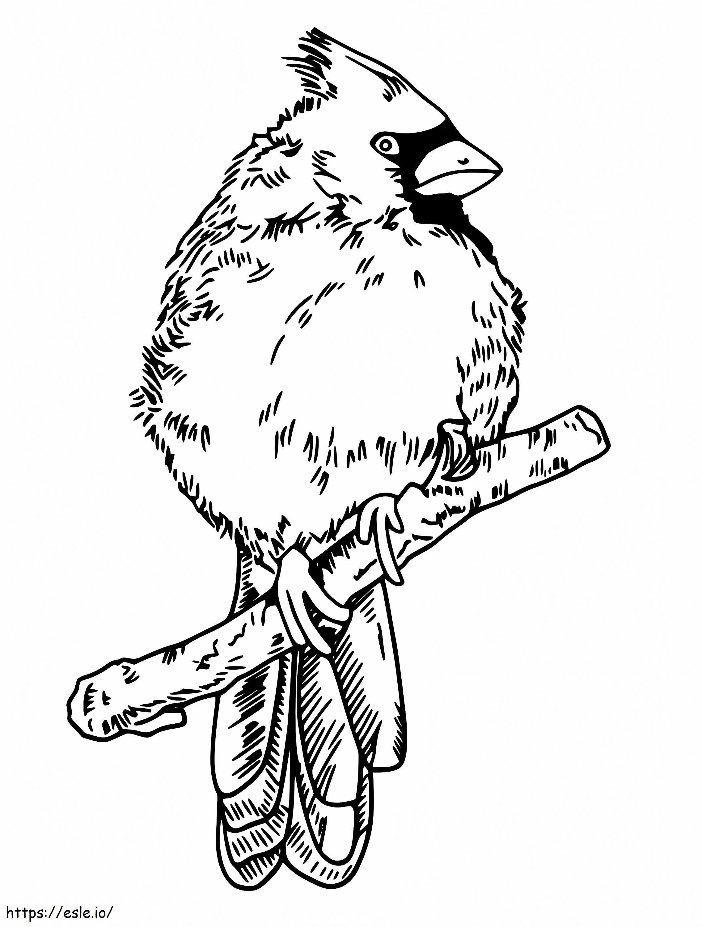 Coloriage Oiseau cardinal gratuit à imprimer dessin
