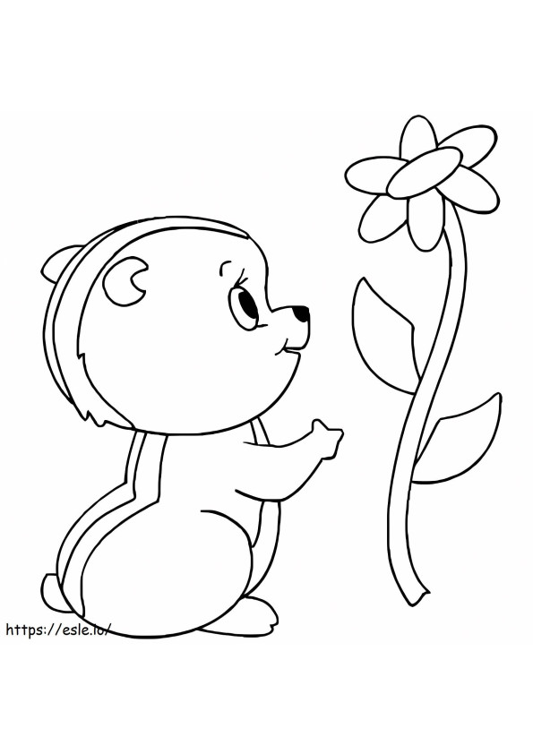 Chipmunk adorabil