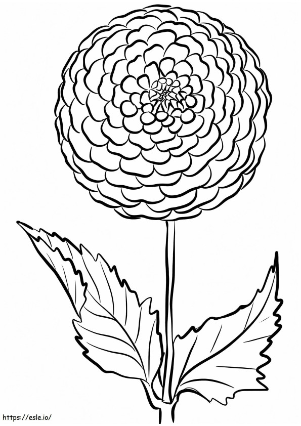 Coloriage Dahlia imprimable à imprimer dessin