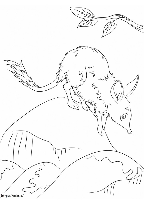 Cute Bilby