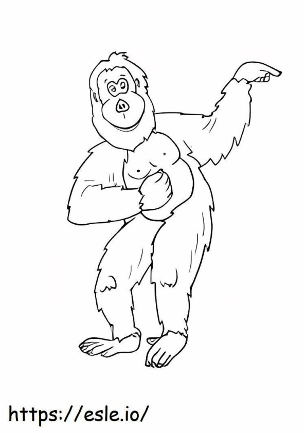 Bom orangotango para colorir