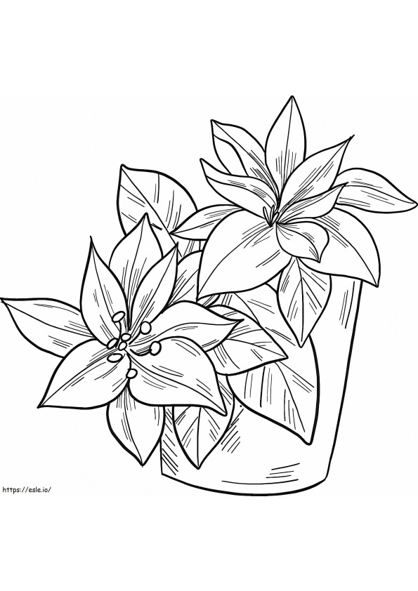 Coloriage Poinsettia en pot 1 à imprimer dessin