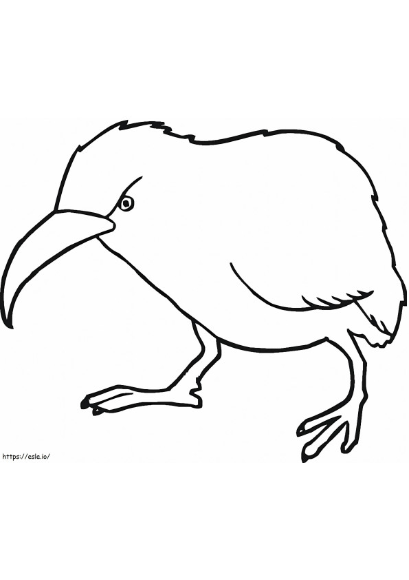 Uccello Kiwi arrabbiato da colorare