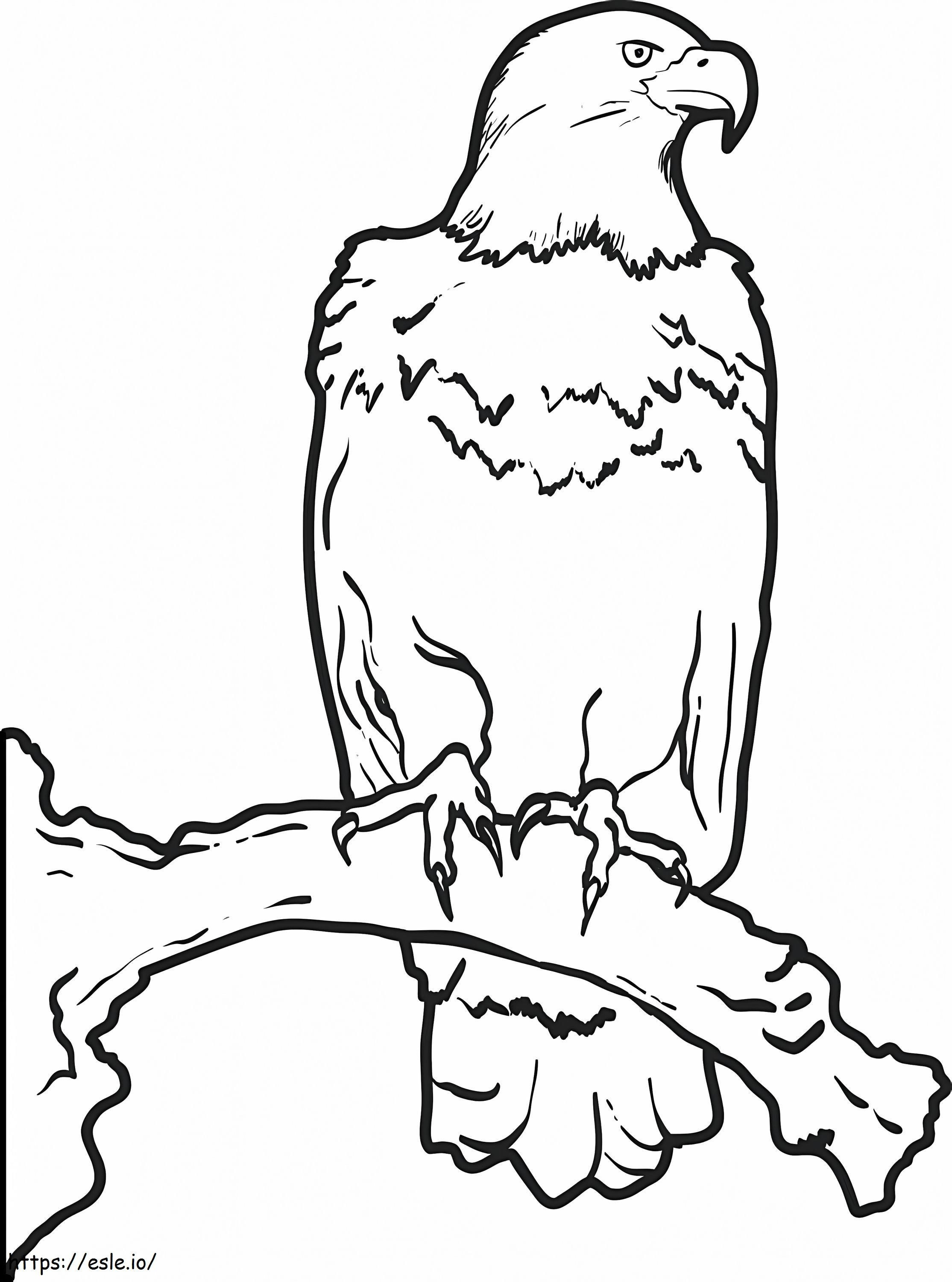 Vultur proaspăt în picioare pe ramura copacului de colorat