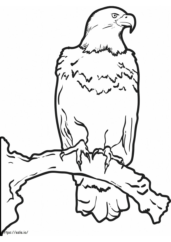Fresh Eagle Standing On The Tree Branch coloring page