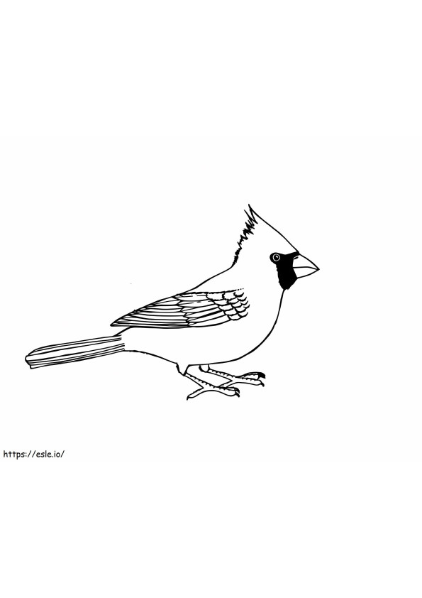 Coloriage Image de l'oiseau cardinal à imprimer dessin