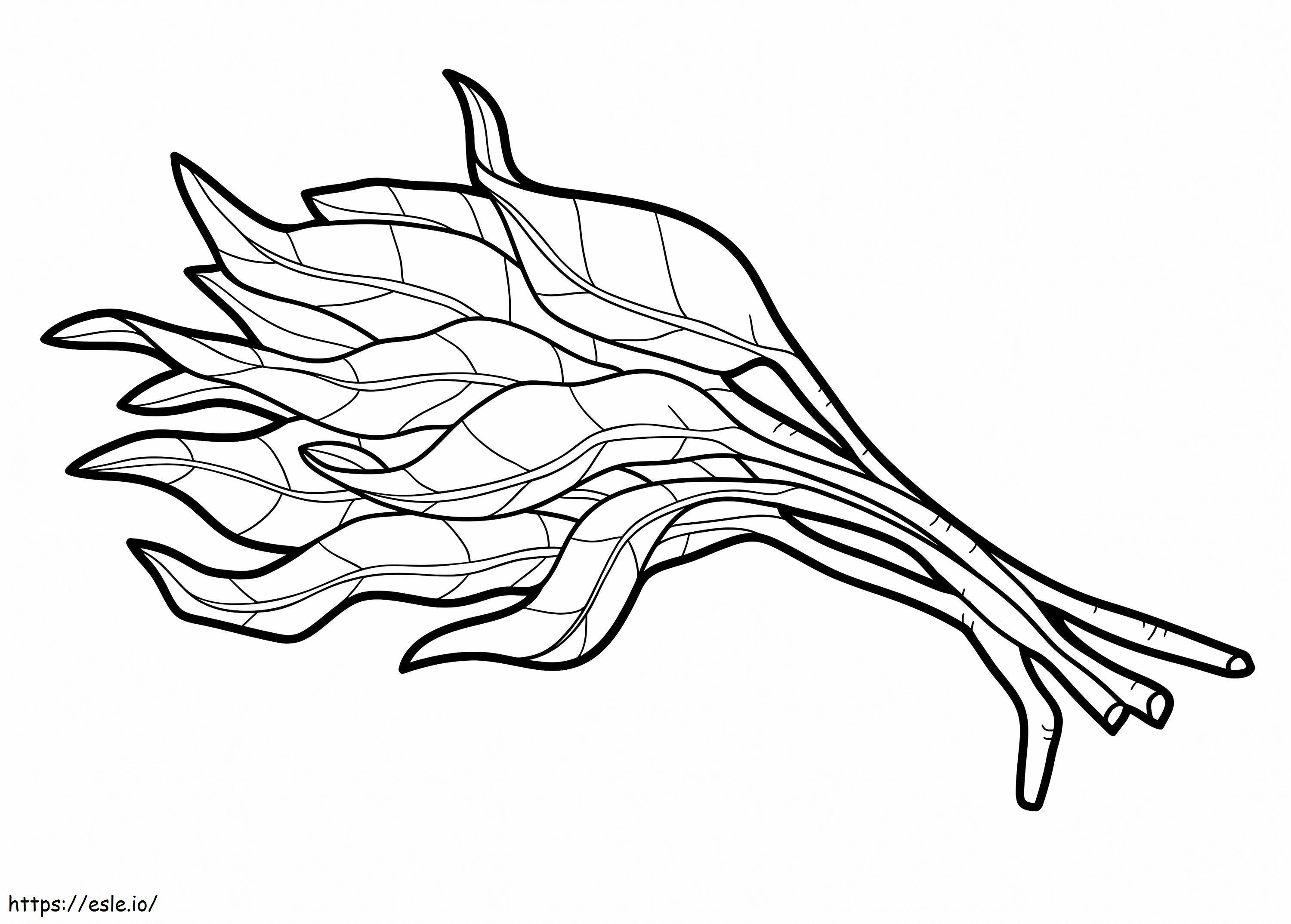 Spinach 2 coloring page