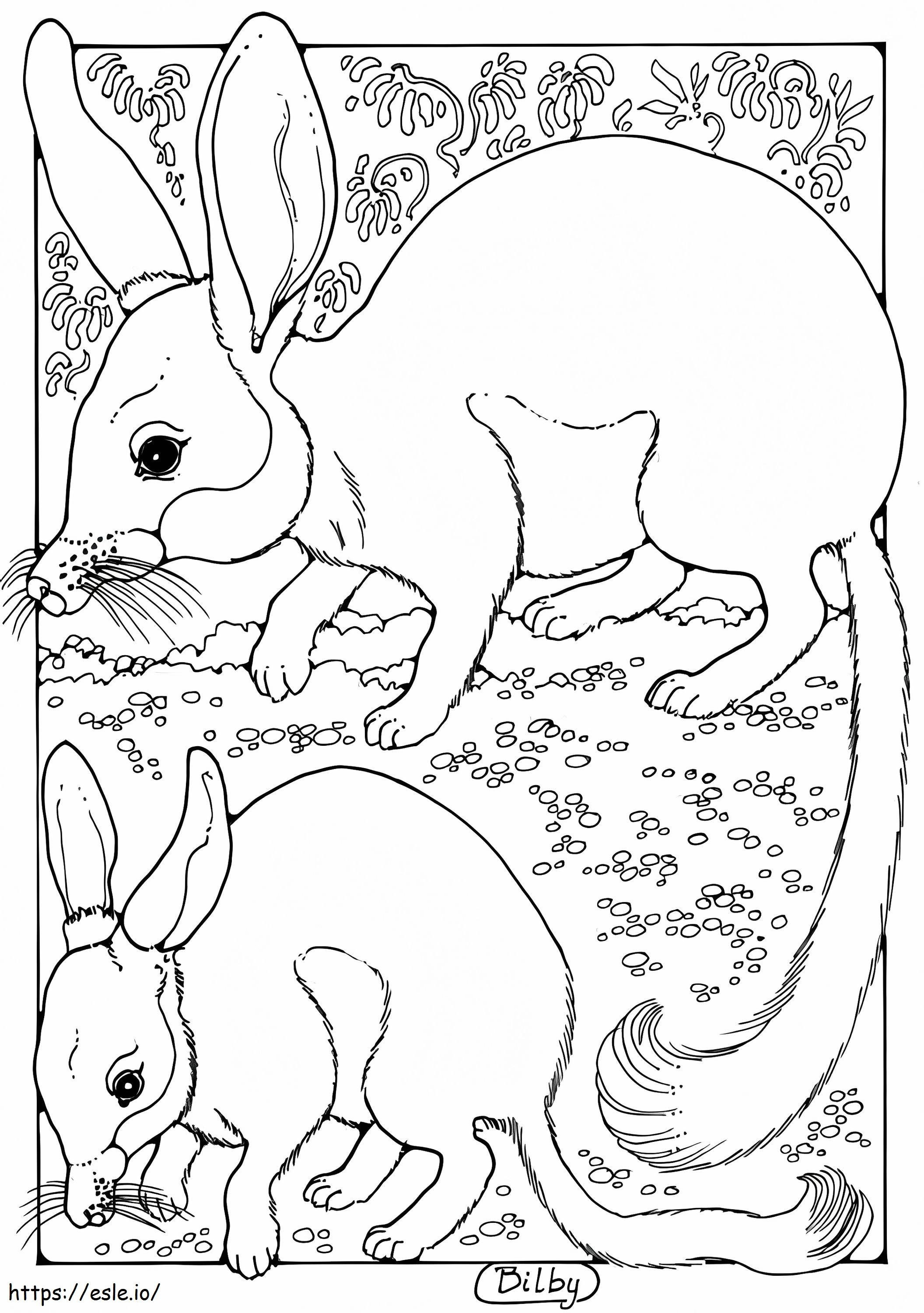 Two Bilby coloring page