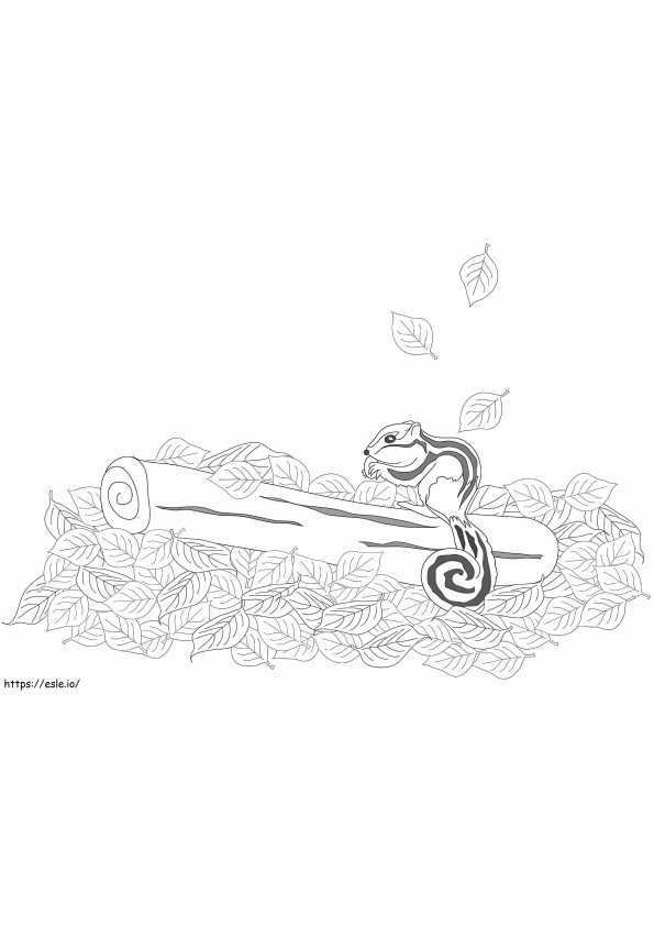 Printable Chipmunk coloring page
