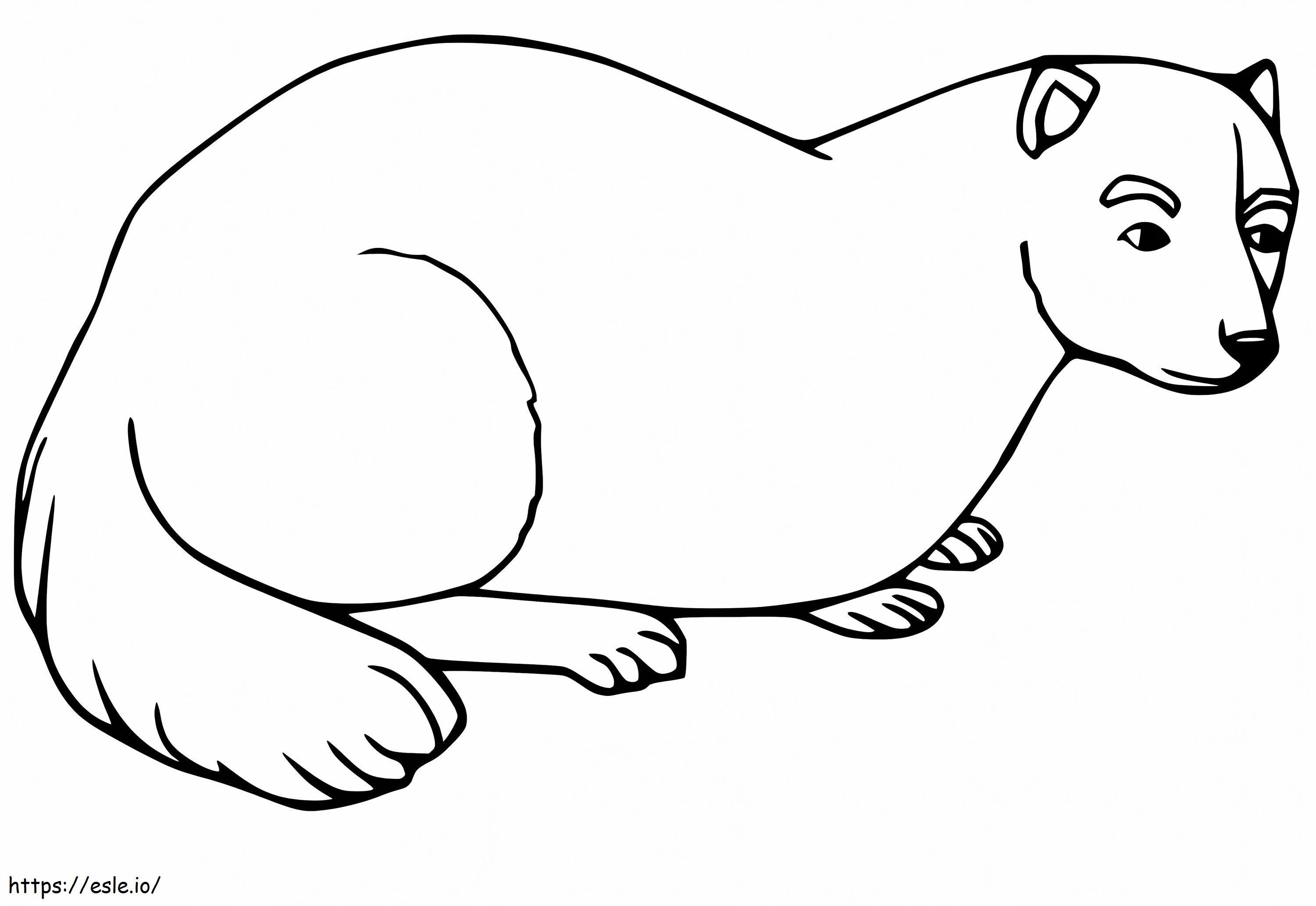 Ferret 7 coloring page