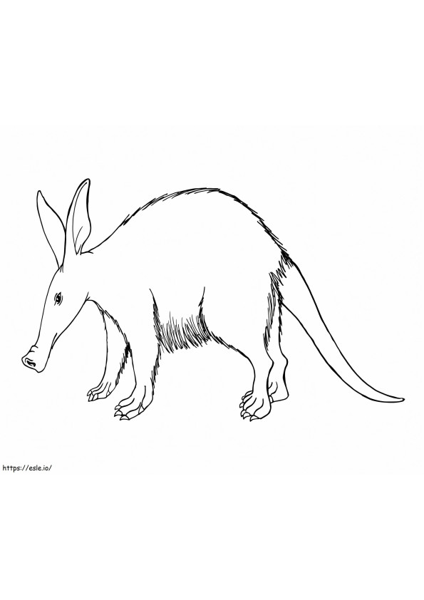 One Aardvark coloring page